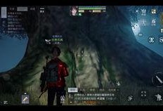 黎明觉醒国际服最新爆料,神秘势力崛起，战火重燃全球