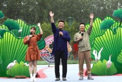 博德风彩最新爆料视频下载,精彩瞬间抢先看